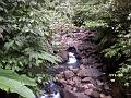 20a - Chutes du Carbet 022